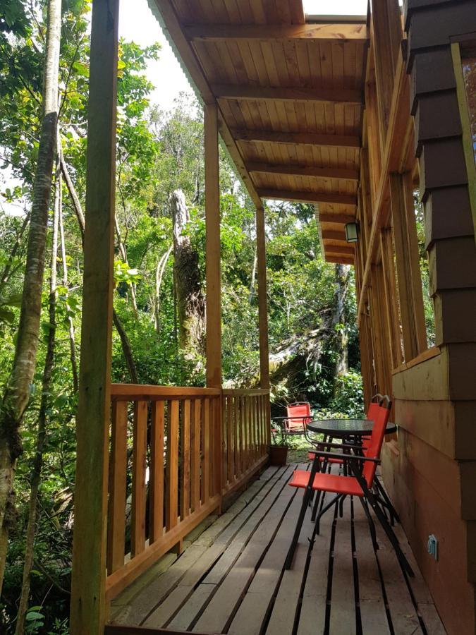 Finca Terra Viva Monteverde Exteriör bild